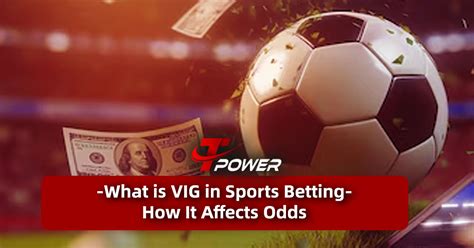 gambling vig|vig in sports betting.